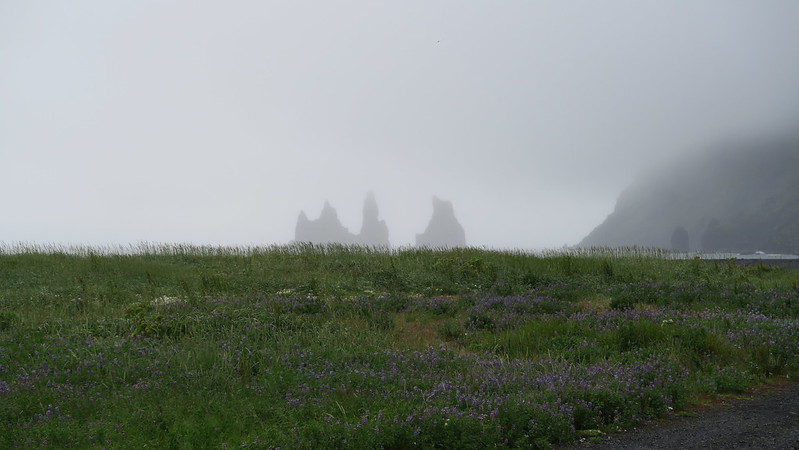 Reynisdrangar í þoku